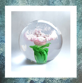 as- in-glas-asbol-flora-herinneringsgeschenk-gedenkgeschenk-groenF2-rozeG1-20192311