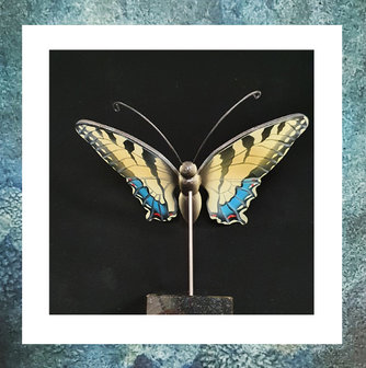 vlinder-koninginnepage-keepsake-mini-urn-hout-zelf-te-vullen