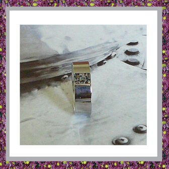 assieraden-as-ring-RS008-as-in-sieraden-juwelen-juweel-asbestemming-gedenksieraden-herinneringssieraad-gevuld-rvs