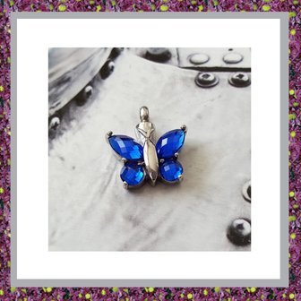 assieraad-ashanger-vlinder-blauw