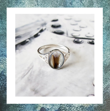 asring-ring met as-ring zilver voor as-damesring voor as