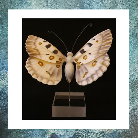 vlinder-apollo-keepsake-mini-urntjes-hout-zelf-te-vullen