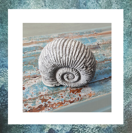 schelp-sier urn-mini urn-ammonite-ammoniet-polystone